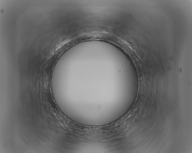 X0000090461158200707130946
