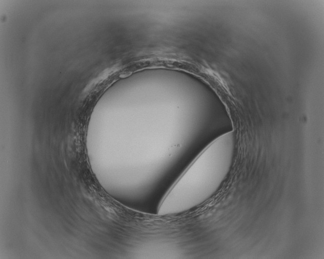 X0000090461159200707130946