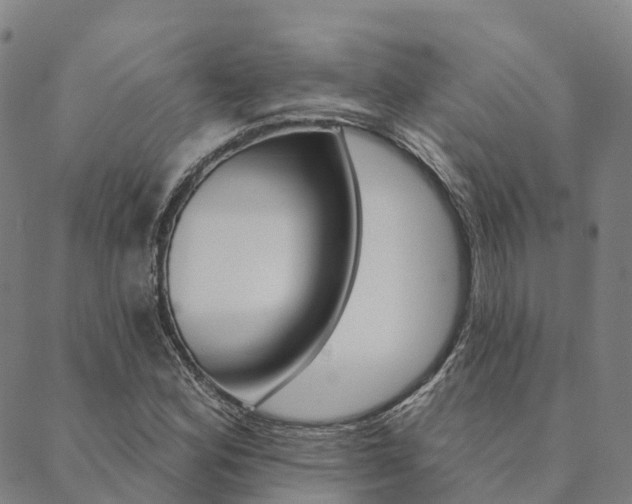 X0000090461164200707130946