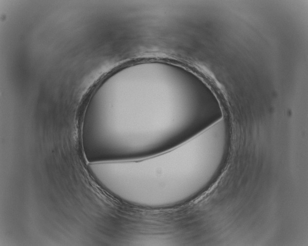 X0000090461167200707130946