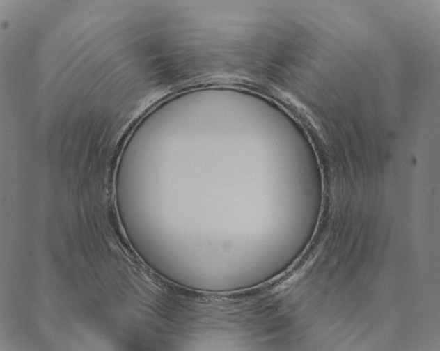 X0000090461170200707130946