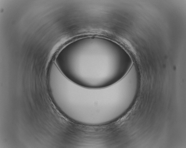 X0000090461172200707130946