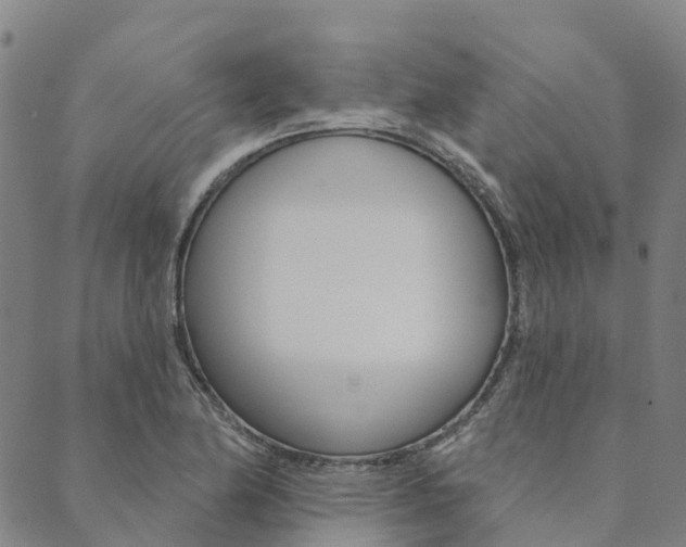 X0000090461174200707130946