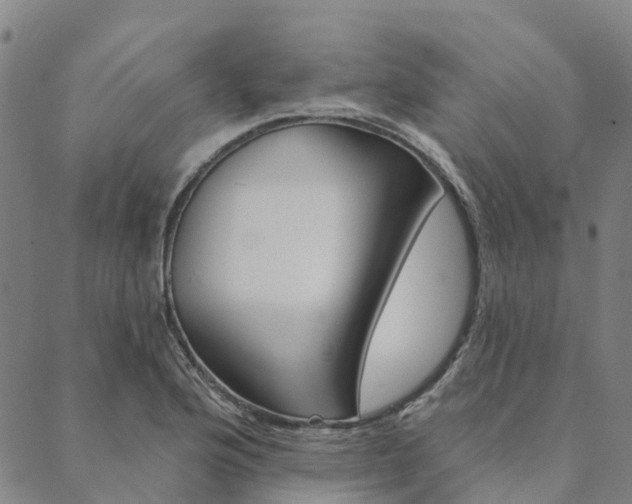 X0000090461176200707130946