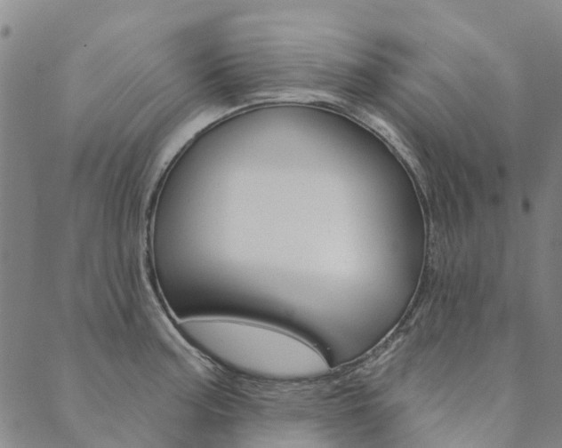 X0000090461187200707130946