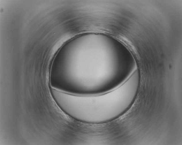 X0000090461188200707130946