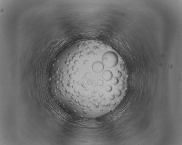 X0000090461201200707130945