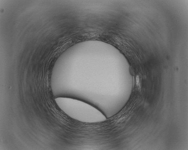 X0000090461203200707130945