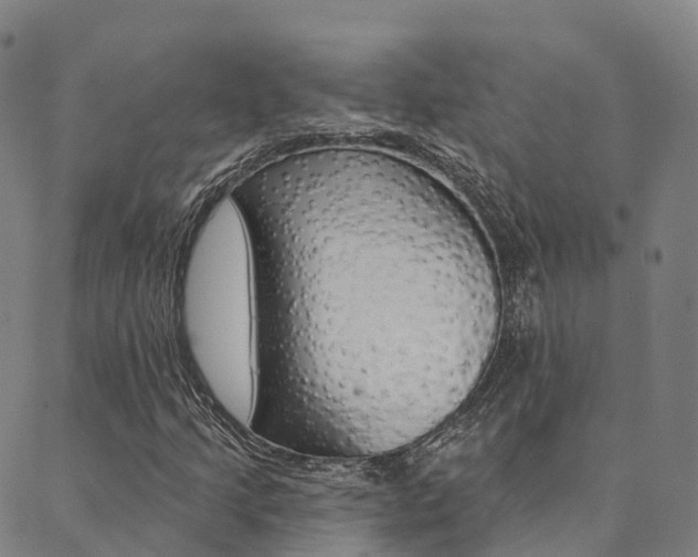 X0000090461205200707130945