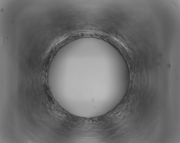 X0000090461207200707130945