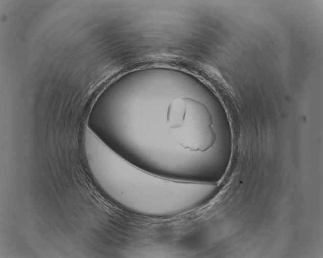 X0000090461209200707130945