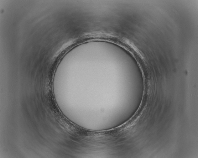 X0000090461213200707130945