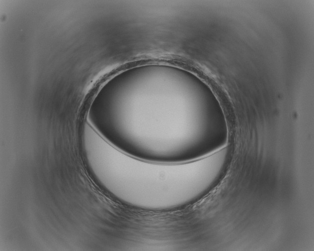 X0000090461214200707130945