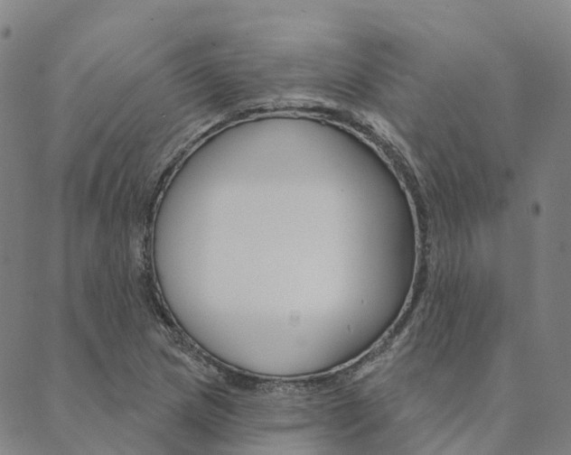 X0000090461217200707130945