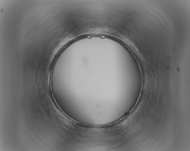 X0000090461224200707130945