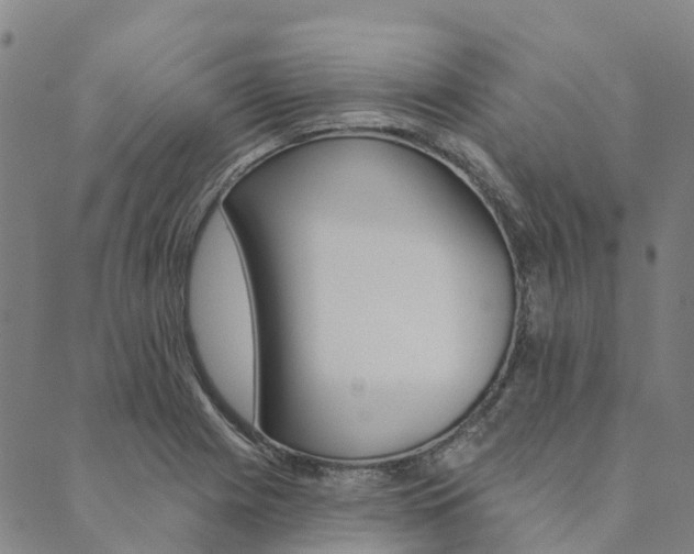 X0000090461225200707130945