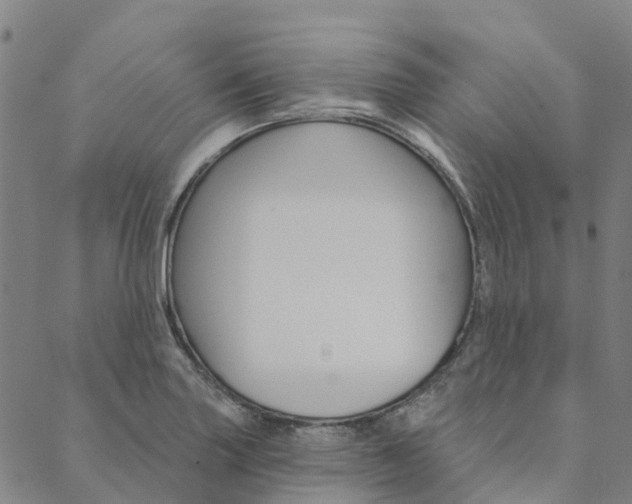 X0000090461227200707130945