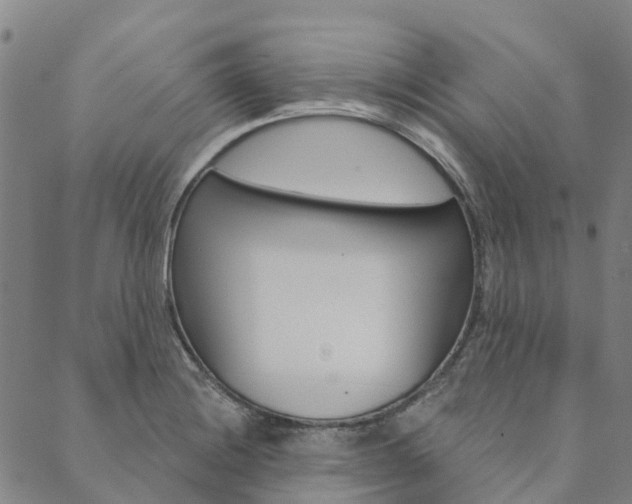 X0000090461228200707130945