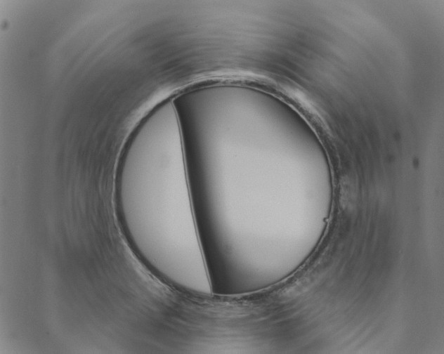 X0000090461229200707130945