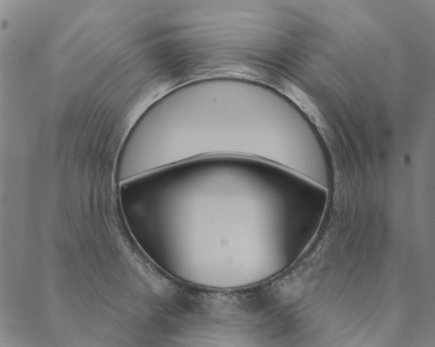 X0000090461234200707130945
