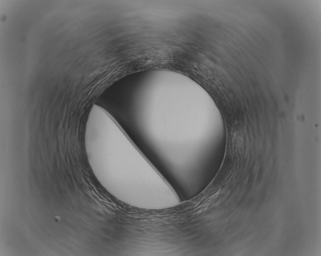 X0000090461250200707130945