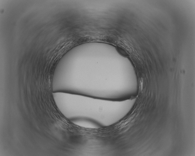 X0000090461251200707130945
