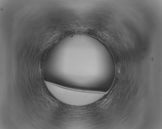 X0000090461252200707130945