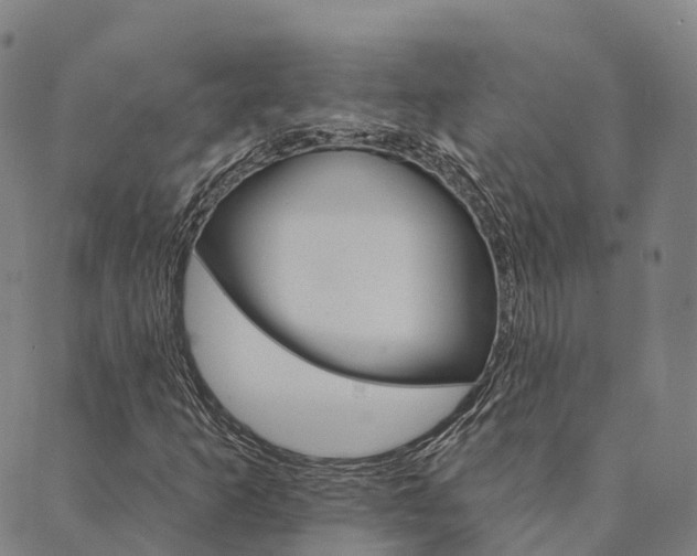 X0000090461253200707130945