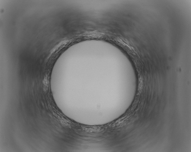X0000090461254200707130945