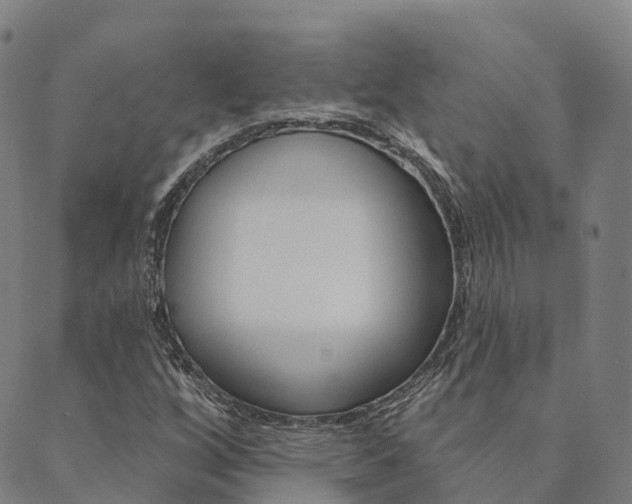 X0000090461256200707130945