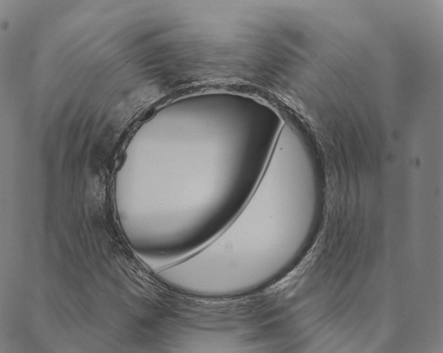 X0000090461257200707130945