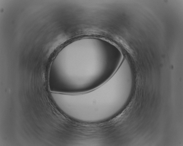 X0000090461261200707130945