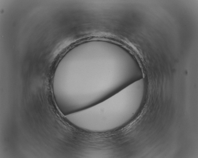 X0000090461263200707130945