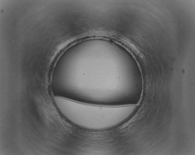 X0000090461264200707130945
