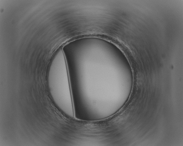 X0000090461265200707130945