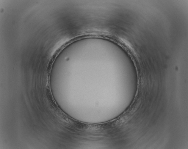 X0000090461267200707130945