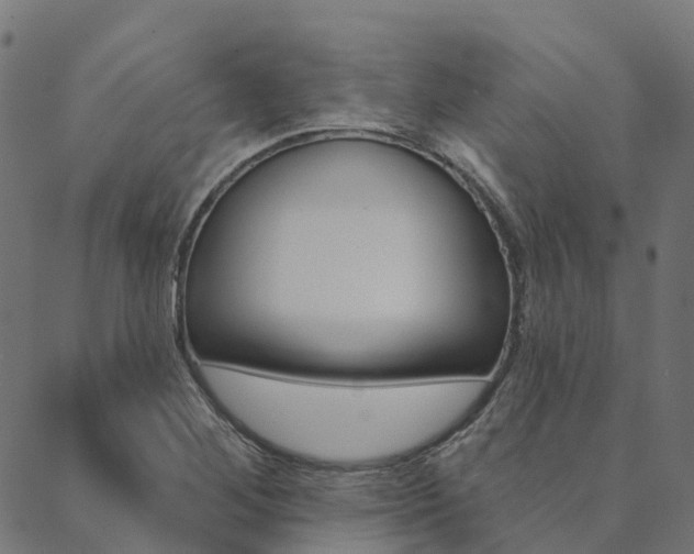 X0000090461268200707130945