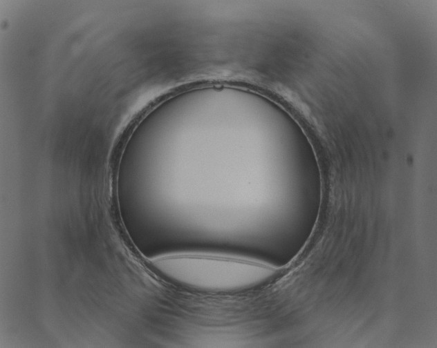 X0000090461270200707130945