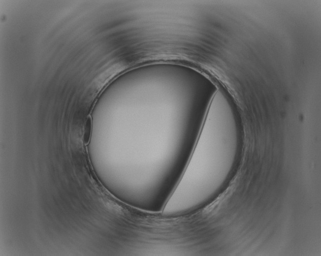 X0000090461273200707130944