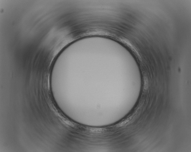 X0000090461274200707130944