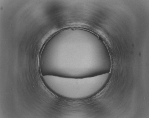 X0000090461275200707130944