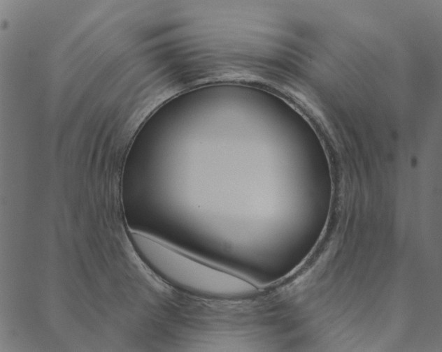 X0000090461281200707130944