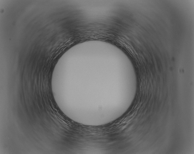 X0000090461298200707130943