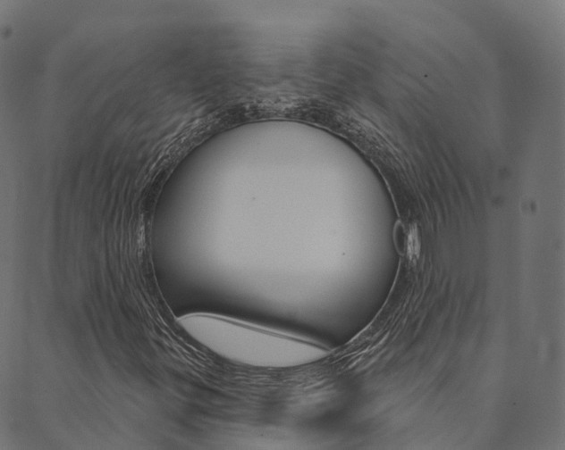 X0000090461299200707130943