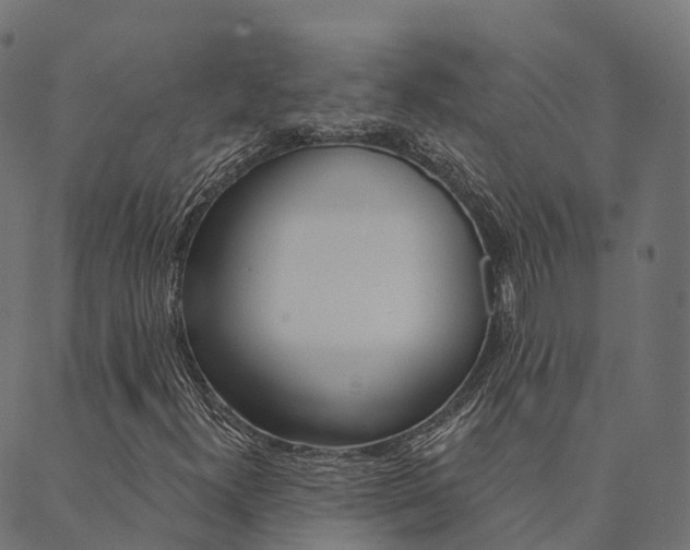 X0000090461300200707130943