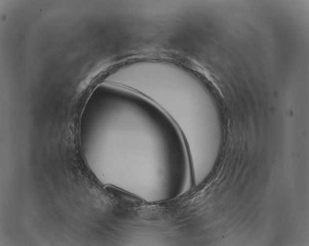 X0000090461304200707130943