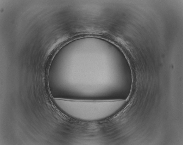 X0000090461307200707130943