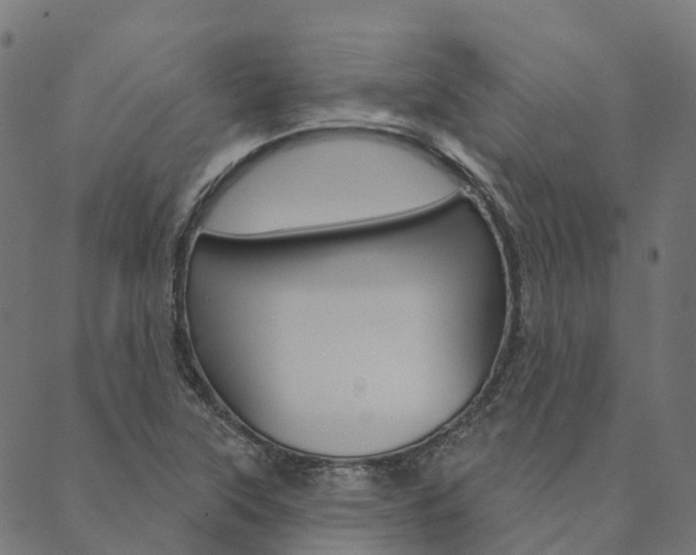 X0000090461315200707130944
