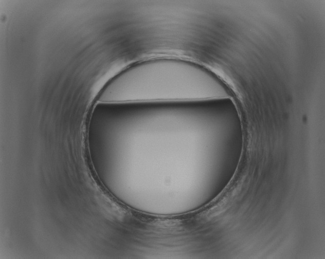 X0000090461325200707130944