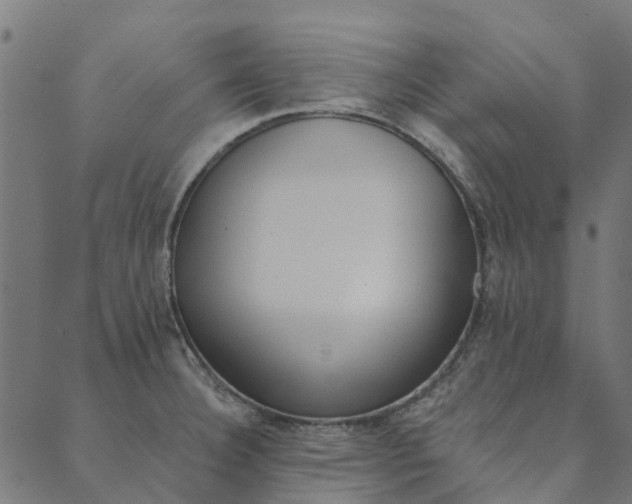 X0000090461332200707130944